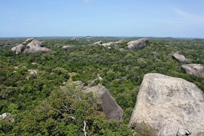 Kumana National Park
