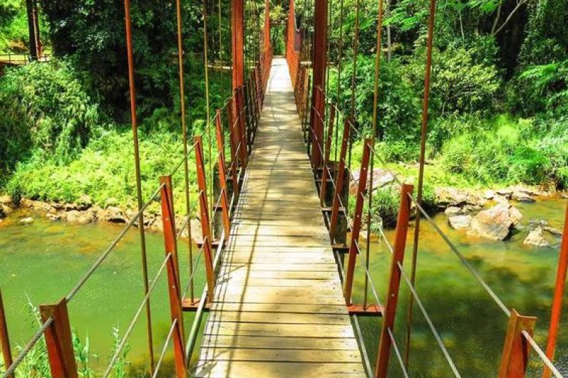 Sinharaja Forest Reserve